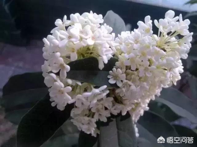 “愿无岁月可回首,且以深情度余生”怎样理解这句话？