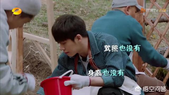 王鹤棣身高:武艺在《亲爱的客栈》第二季第一期表现如何？