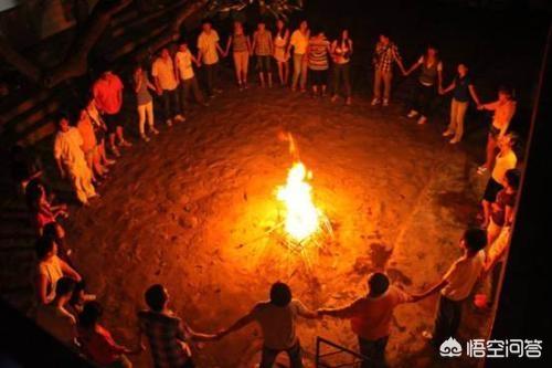 2019观鸟大年七月优秀作品集:休闲农业要如何才能做到“不淡季”？