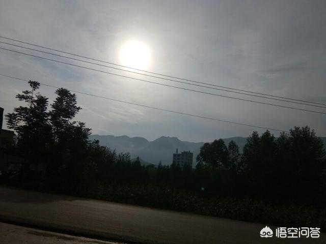 你见过的古诗词中哪一句最美？插图19