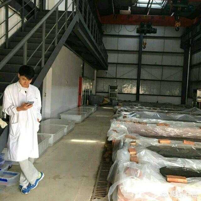 海昏侯的墓是怎么被发现的？插图113