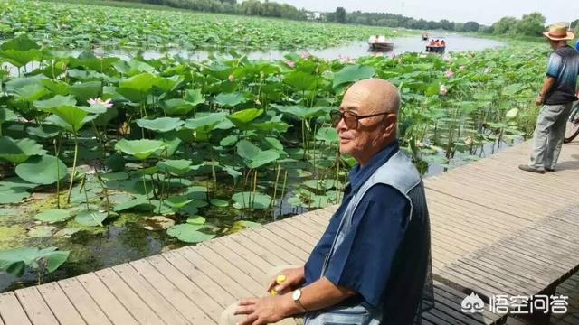 关于秋叶的诗句有哪些？