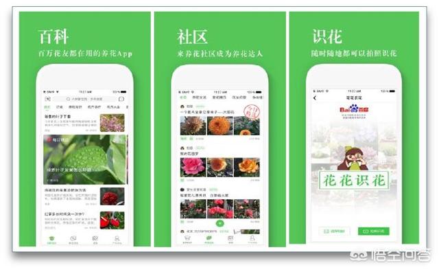 万界微信<a href=https://maguai.com/list/269-0-0.html target=_blank class=infotextkey>红包群</a>txt下载:你的手机上有哪些相见恨晚又适合大众的app？