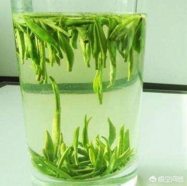 中国哪里产的绿茶最好，全国有好多产茶区，哪里的茶叶最受欢迎