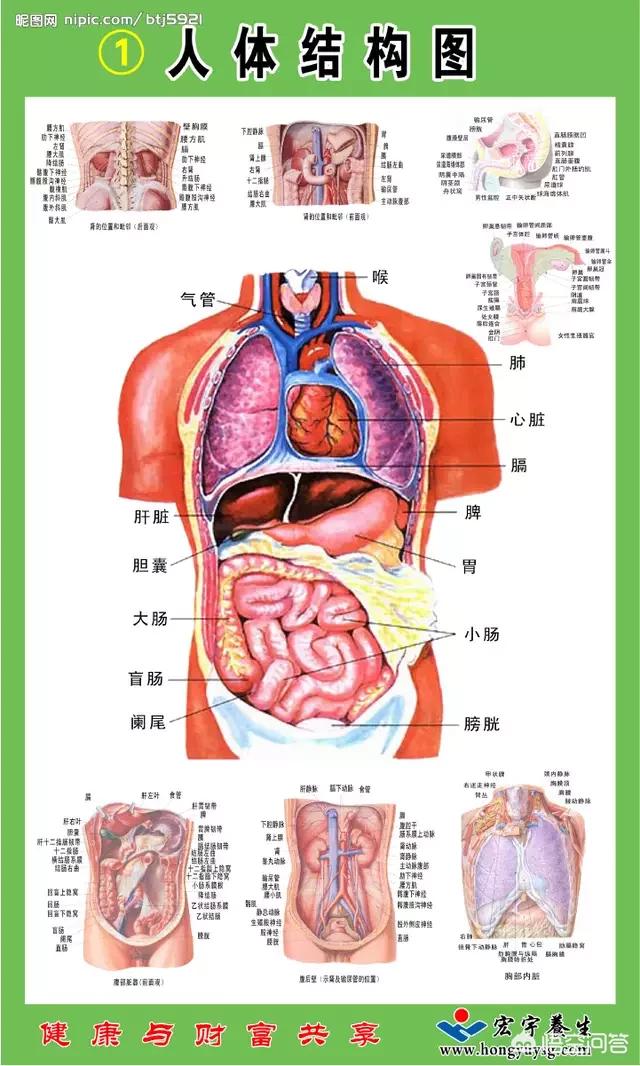 泌尿系统感染:泌尿系统感染吃什么药 泌尿系统感染是怎么回事？