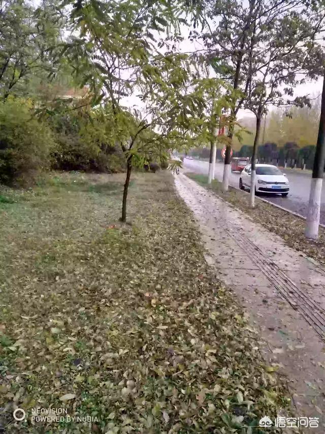 过午不食是什么意思，过午不食的说法来自哪里这个习惯有什么科学道理吗