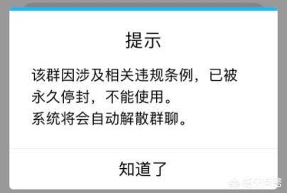 藏獒联盟网搬家:如何看待一些游戏中，玩家之间尔虞我诈的现象？