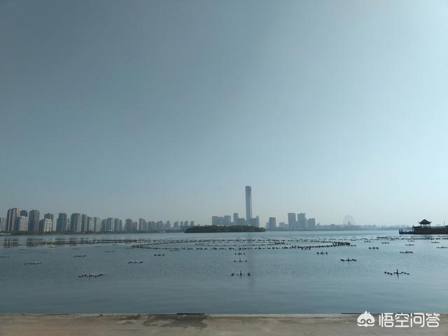 拍照片换个角度，会有什么不同的效果(照片角度不同的效果)