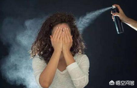 六种对其他动物最不友善的狗狗:狗狗最不喜欢什么样的人呢？你怎么看？