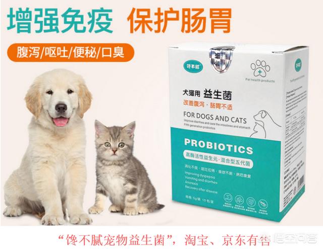 豹龟拉稀用什么益生菌好:猫狗拉肚子，吃妈咪爱与益生菌的效果一样吗？