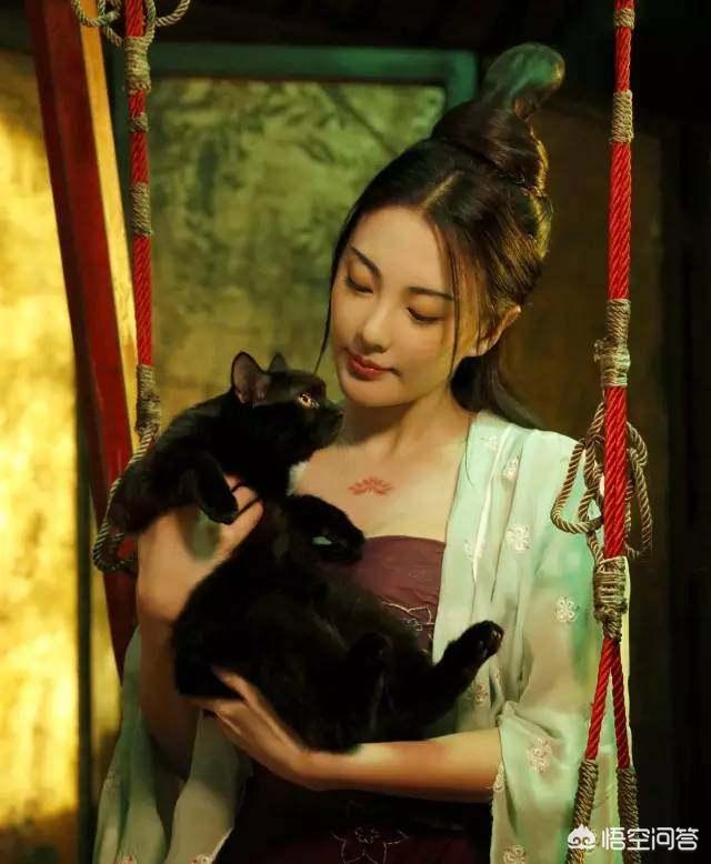 马苏的老公是谁:黄毅清和马苏官司大家支持谁？