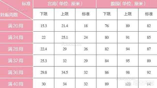 头条问答 怀孕五个月的肚子应该有多大 需要注意什么 83个回答