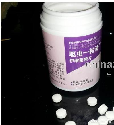 什么是蛔虫病:鸽子有蛔虫病吃什么药比较好？