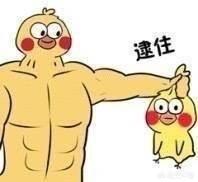 作为一个萌新,在网上买手机用京东、天猫、拼多多哪个好？