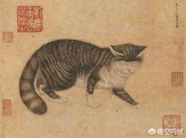 诈尸事件:恐怖片中猫猫为何不能接近死人