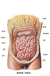 肛肠外科疾病健康指导:经常清洗肛门可以预防肛肠病吗？