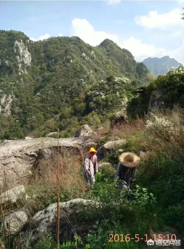 终南山修行人:古往今来，为何隐士、修行者会首选终南山隐逸修行？