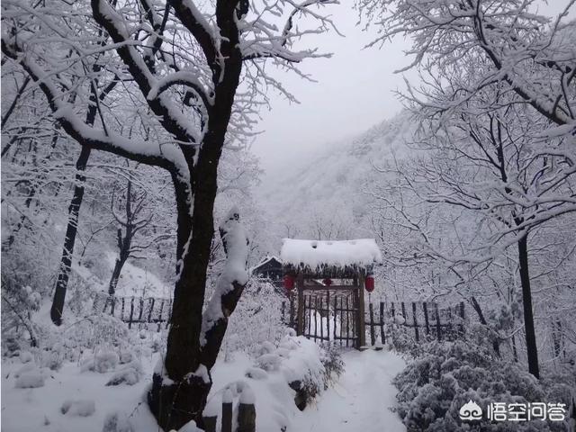 终南山修行人:古往今来，为何隐士、修行者会首选终南山隐逸修行？