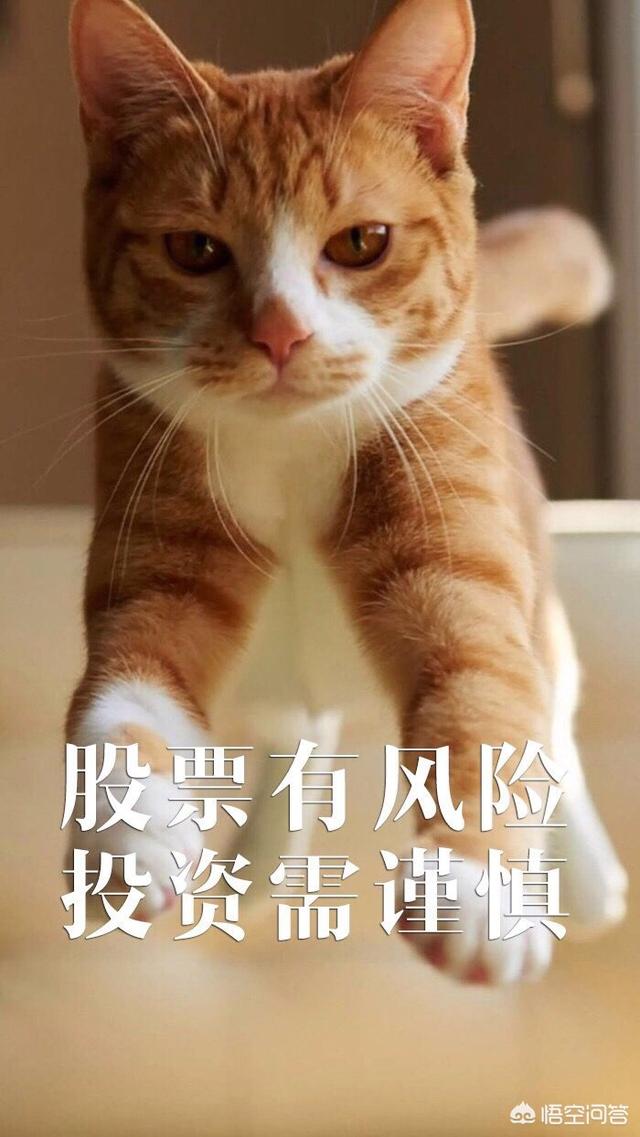 640_1137竖版 竖屏