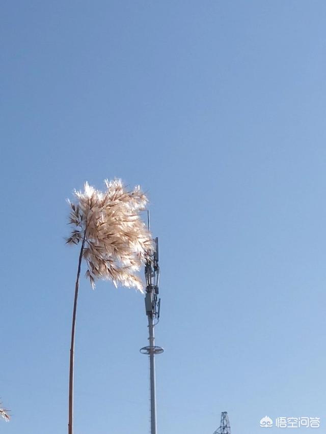 和女朋友分手了,但还在一起住,该怎么挽回她？