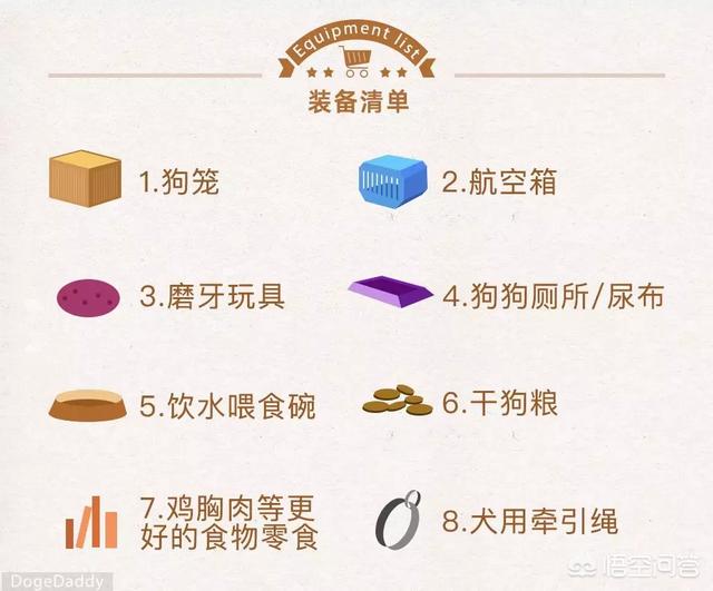 怎么挑选泰迪熊狗:如何挑选健康的泰迪幼犬？可以观察哪些地方？ 怎么挑选狗崽