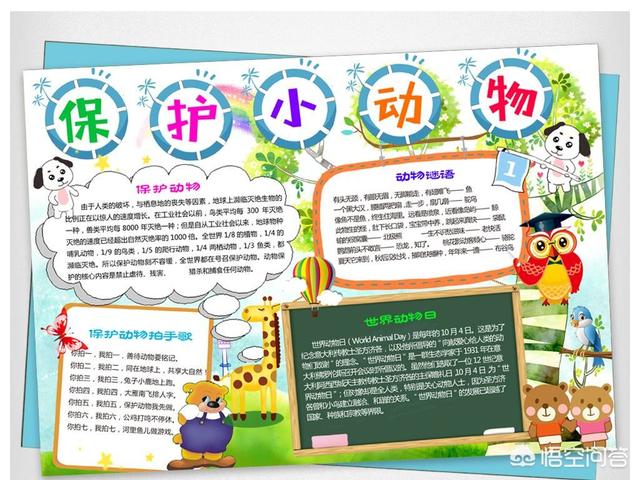 水煮活猫残忍图片:虐猫的人，是一种什么样的心理？