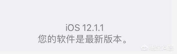 你认为苹果7升级的12.1.1系统怎么样？