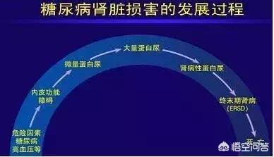 糖尿病肾病什么东西不能吃:肾病患者不能吃什么食物？