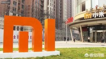 张馨月黑历史:我都已经收心了，为什么未婚夫还是介意我过去的黑历史？
