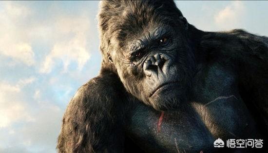 金刚大战哥斯拉你觉得谁的胜算更大