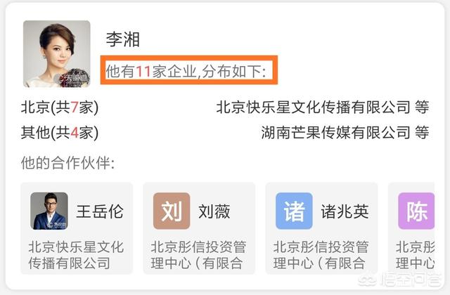 李湘简历:主持人李湘现在的收入来源是什么？