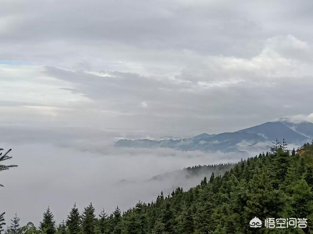 如何与人保持距离(如何与人保持距离好好相处)