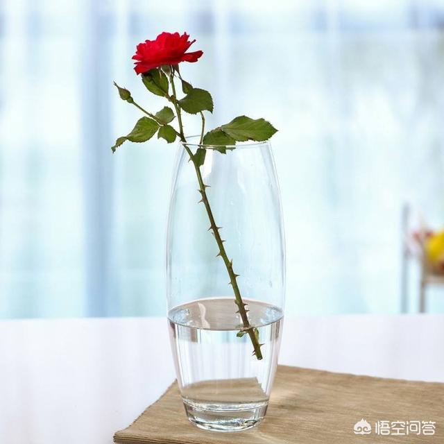 男人喜欢养花是什么心态？