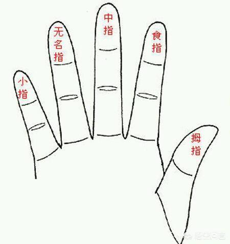 头条问答 - 在一些影视剧中会出现把手比作"五姑娘"的情节,"五姑娘"
