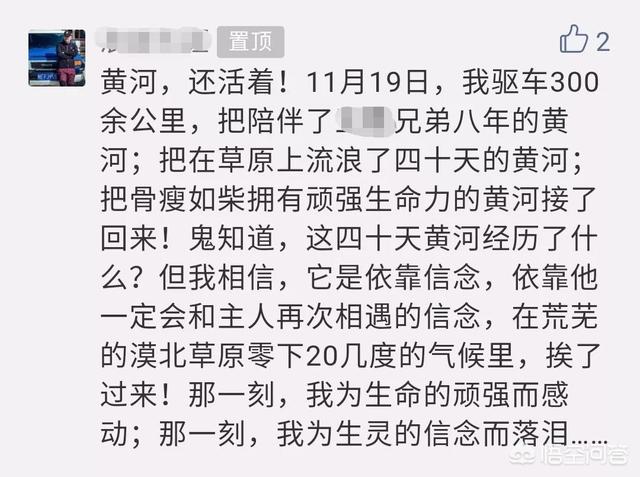 带宠物出国旅游:带宠物自驾游是一种怎样的体验？ 带宠物出国旅游回国