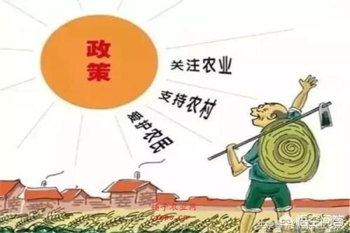 猫娘计划问题:三农问题要怎么才能得到更好的解决?有好的办法吗？