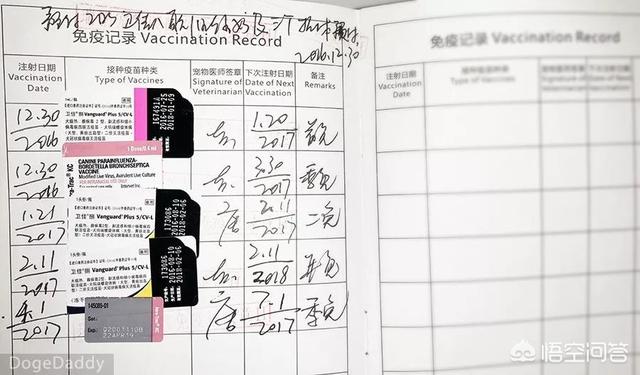 买狗:买狗在哪里买靠谱 去买狗狗的时候要看些什么？怎么判断有没有病之类的？