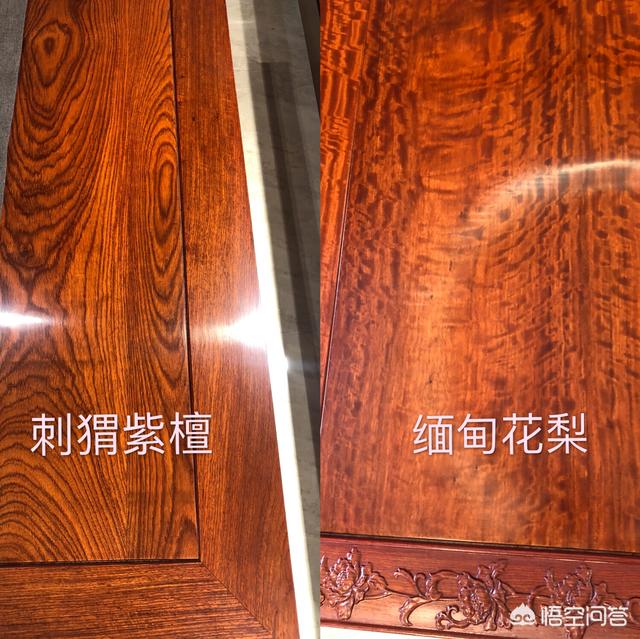 缅甸花梨与刺猬紫檀哪个好？插图16