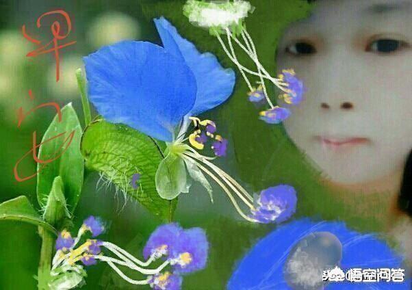 如果让你推荐头条第一美女,你认为谁当之无愧？