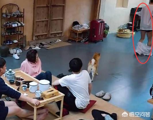 李宇春鞋被狗咬烂:哪些明星“出糗”的瞬间，能承包你一年的笑点？ 李宇春保安事件