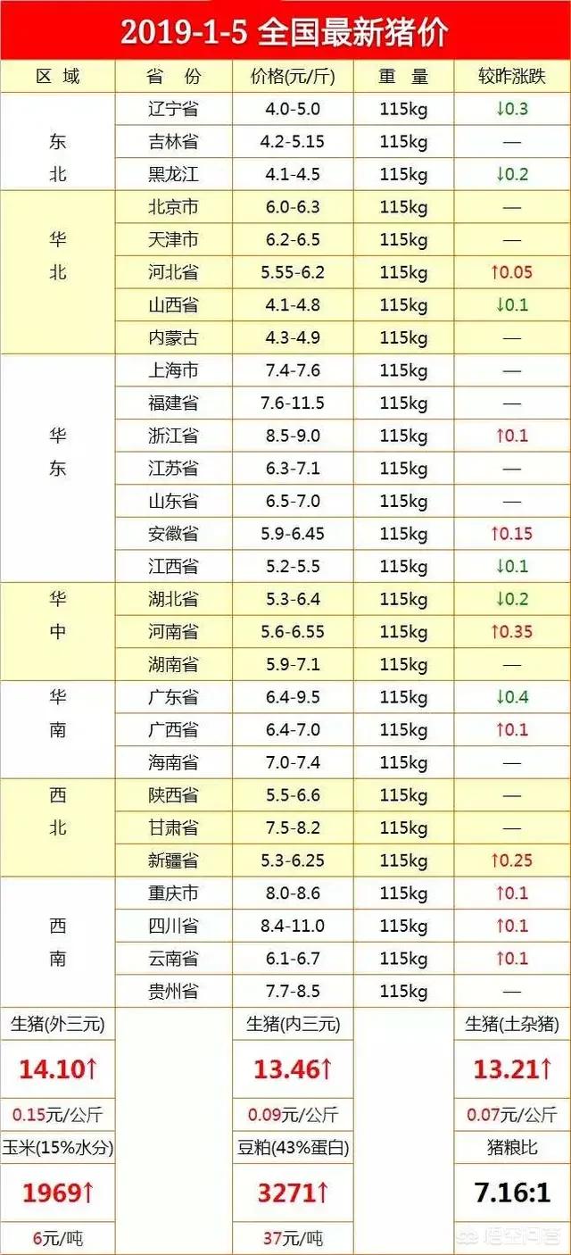 河南獭兔最新价格行情:距离春节还有一个月，河南的猪价能否达到8元一斤呢？