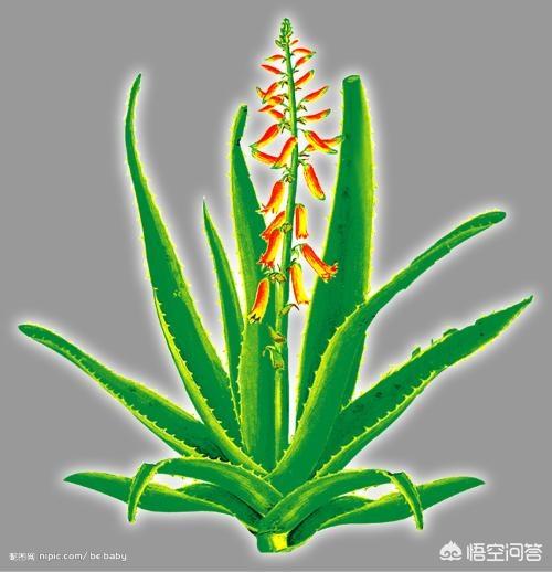 家里驱鬼最强的方法,室内甲醛治理真的有用吗，如何治理？