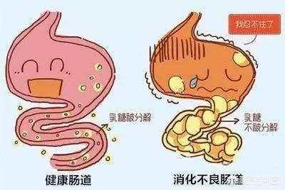 一岁宝宝肠胃吸收不好怎么办:宝宝消化不好，怎么调理？ 一岁半宝宝肠胃吸收不好怎么改善
