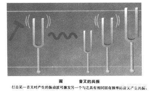 历史上有哪些科学全才？