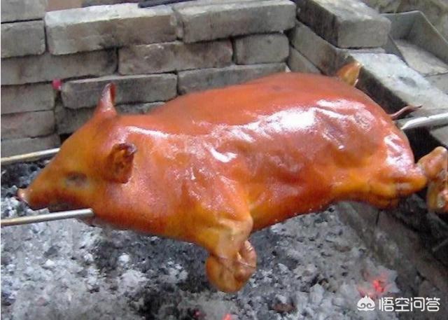 小香猪养殖:养一只小香猪是怎样的体验？