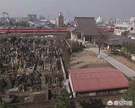 大小姐的训狗技巧ova:有哪些动漫，你是为了看某个人物专门去追的？