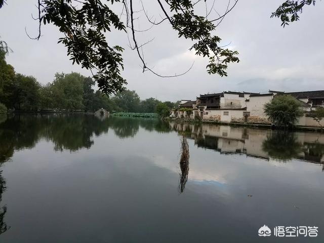头条问答 盘剥白鸦谷口栗 饭煮青泥坊底芹 为何西庄工给事 柴门空闭锁松筠 这句诗该如何理解 10个回答