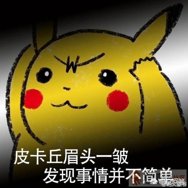 报告狗班长视频:报告狗班长西泽 如何提高金毛犬对主人的服从性？