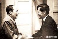 杨振宁和他的岳父杜聿明谁的名气大,他们二人都有什么贡献呢？