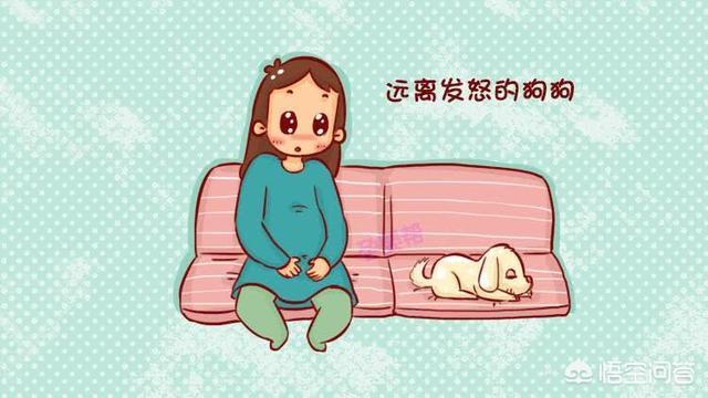 孕妇被狗狗咬了出血没打针:刚怀孕，被狗咬出血了，没打狂犬疫苗，会不会有事？